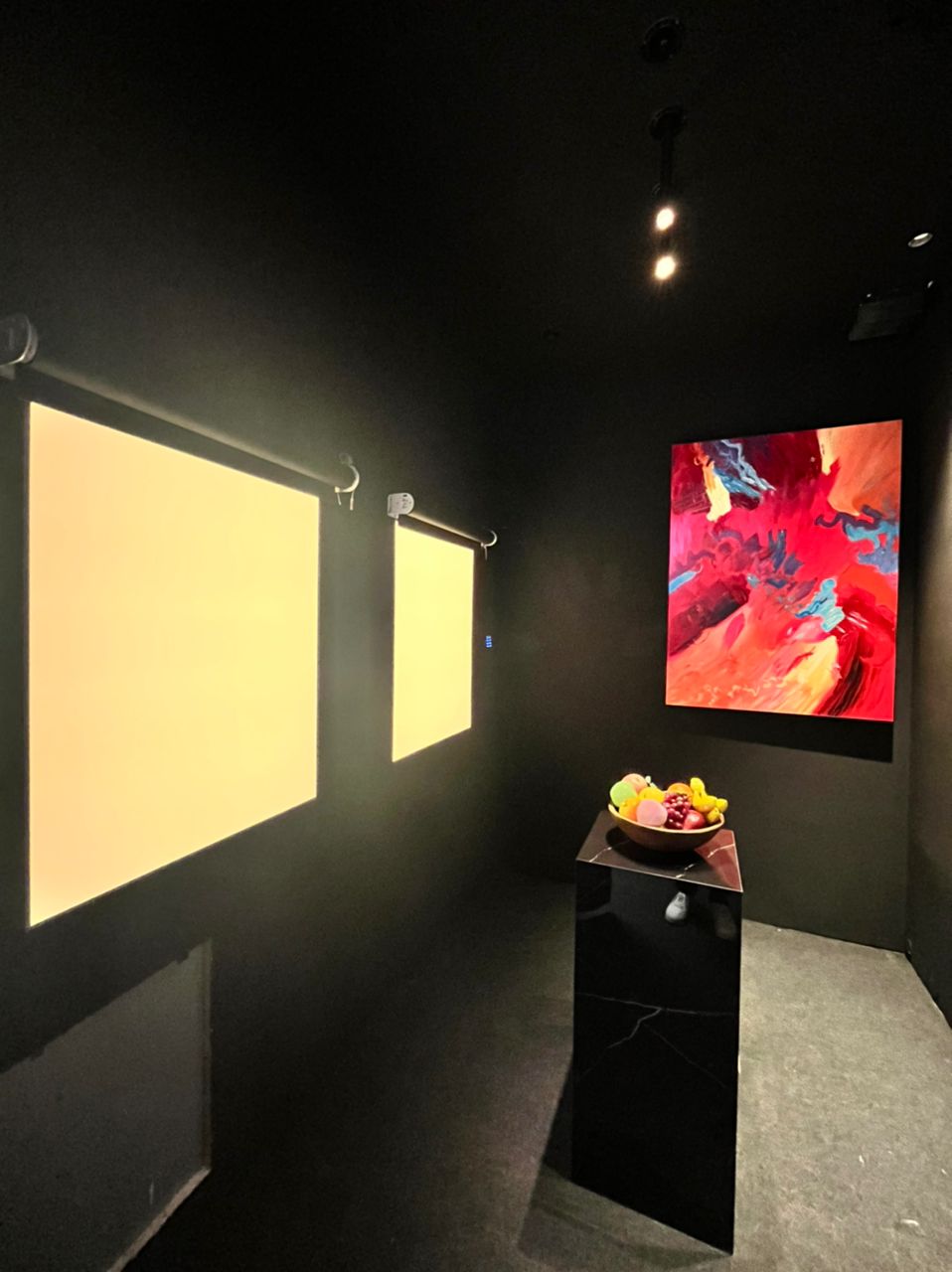 Stretch ceiling project