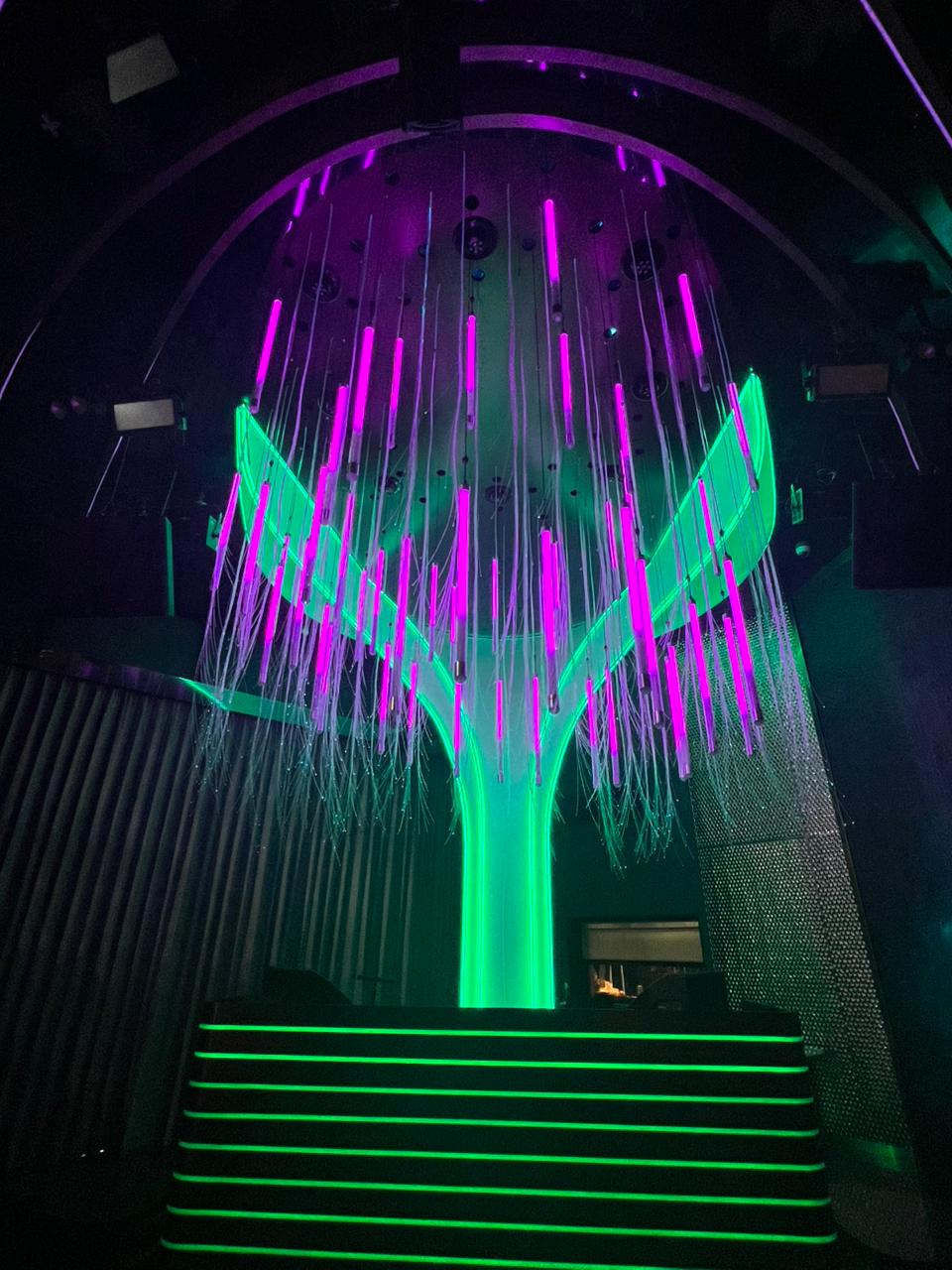 Stretch ceiling project